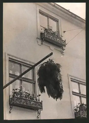 Fotografie Ansicht Wien, Haus geschmückt mit Kiefernnadeln