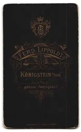 Fotografie Ferd. Lippold, Königstein a/Elbe, Portrait Knabe in Anzug