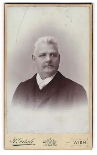 Fotografie R. Gutsch, Wien, Portrait älterer Herr im Anzug mit Krawatte und Schnurrbart