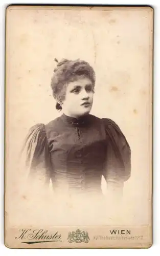 Fotografie K. Schuster, Wien, Portrait junge Dame mit hochgestecktem Haar