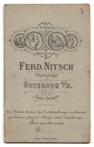 Fotografie Ferd. Nitsch, Osterode a / H., Portrait bürgerliche Dame mit zurückgebundenem Haar