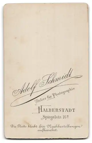 Fotografie Adolf Schmidt, Halberstadt, Portrait elegant gekleidetes junges Paar