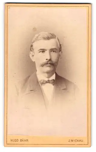 Fotografie Hugo Bähr, Zwickau i. Sa., Portrait stattlicher Herr mit grauem Haar und Schnurrbart