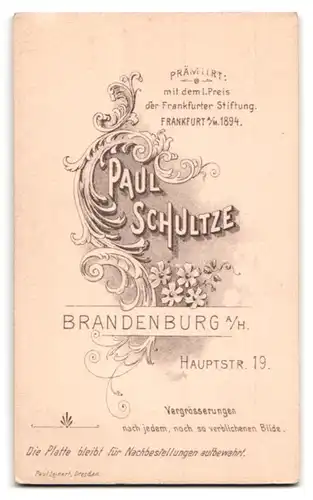 Fotografie Paul Schultze, Brandenburg a / H., Portrait junger Herr im Anzug mit Krawatte und Schnurrbart