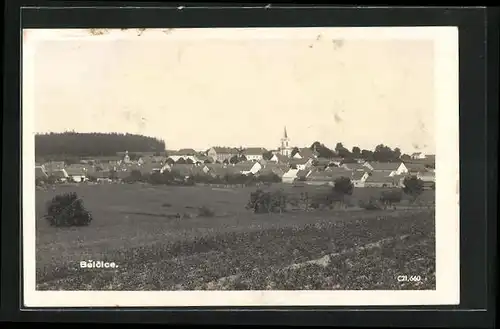 AK Belcice, Blick von der Feldwiese zum Ort