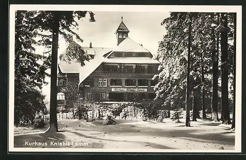 AK Kniebis, Kurhotel und Wintersportplatz Kniebis-Lamm im Schnee