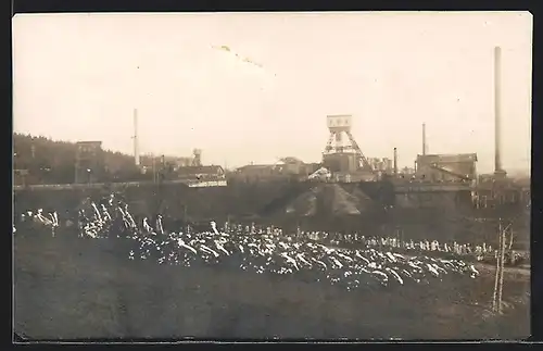 Foto-AK Oelsnitz, Trauerkränze & Kondolenz Grubenunglück Hedwig- und Friedenschacht