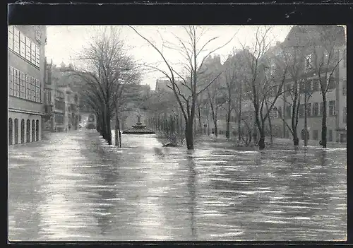 AK Nürnberg, Hochwasser-Katastrophe vom 05. Febr. 1909, auf dem Maxplatz