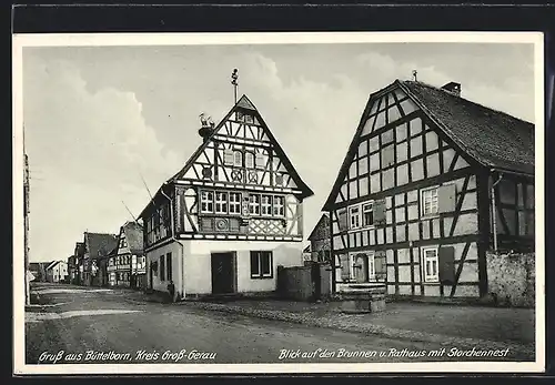 AK Büttelborn, Strassenansicht mit Brunnen, Rathaus und Storchennest