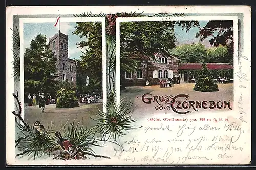 AK Czorneboh, Burg und Gebäudeansicht