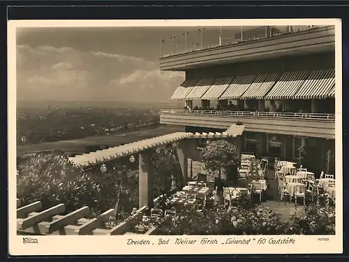 Foto-AK Walter Hahn, Dresden, Nr. 10795: Dresden, Blick von der Terrasse des Gasthauses Luisenhof