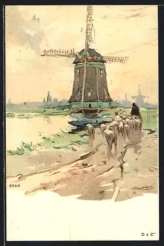 Künstler-AK Henri Cassiers: Edam, Windmühle, Schäfer mit Schafen