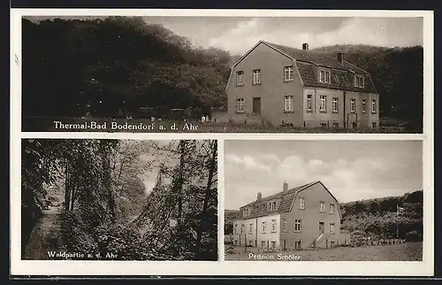 AK Bodendorf a. d. Ahr, Waldpartie und Pension Schöler