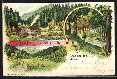 Lithographie Hohegeiss i. Hochharz, Gasthaus Wolfsbachmühle, Ortspartie mit Bach, Panorama