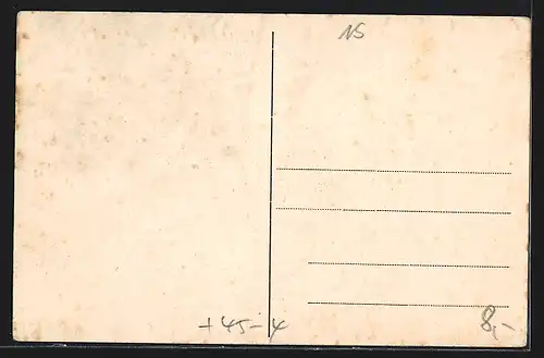AK Hannover-Braunschweig, XIV. Kreisturnfest 1909, Teilansicht, Turner mit Fahne