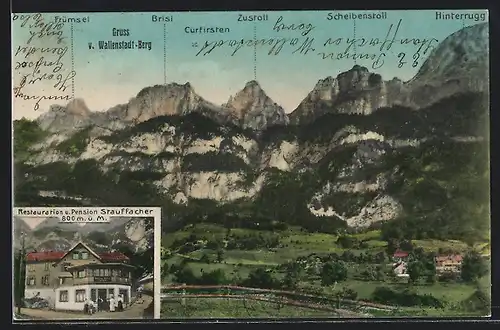 AK Wallenstadtberg, Pension Stauffacher, Gebirgspanorama