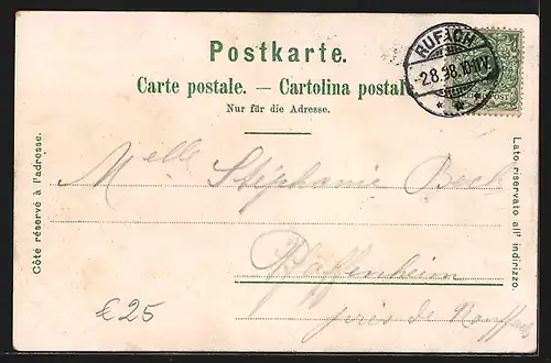 Lithographie Basel, Strassburger Denkmal, Rathaus, Panorama mit Brücke