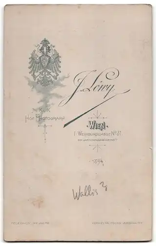 Fotografie J. Löwy, Wien, Michale Johann von Wallis (1732-1798), Österreichischer Feldmarschall