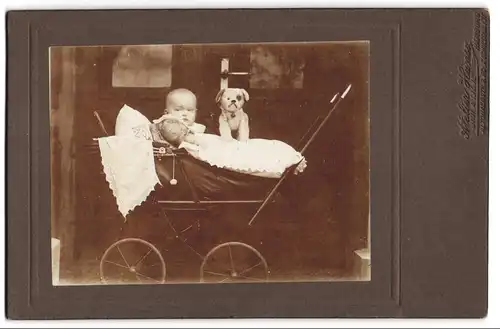 Fotografie Atelier Hansa, Hamburg, niedliches Kleinkind mit Plüschhund im Kinderwagen