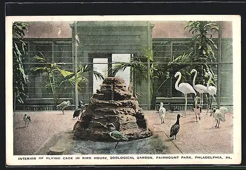 AK Flamingos im Vogelhaus des Zoologischen Garten Fairmount Park Philadelphia