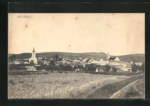 AK Olesnice, Panorama