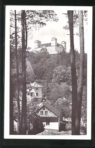 AK Racice, Teilansicht vom Ort mit Schloss