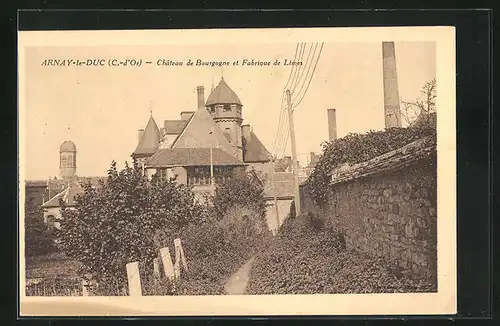 AK Arnay-le-Duc, Chateau de Bourgogne et Fabrique des Limes