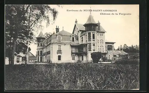 AK Nuits-Saint-Georges, Chateau de la Forgeotte