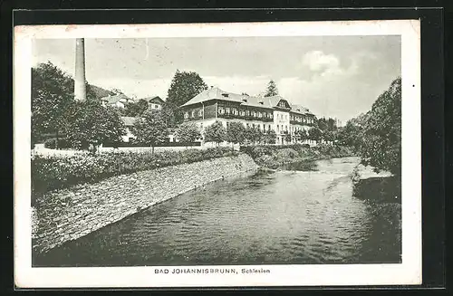 AK Bad Johannisbrunn / Schlesien, Ortspartie