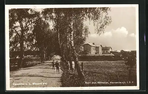 AK Kamenice n. L., Brezova alej