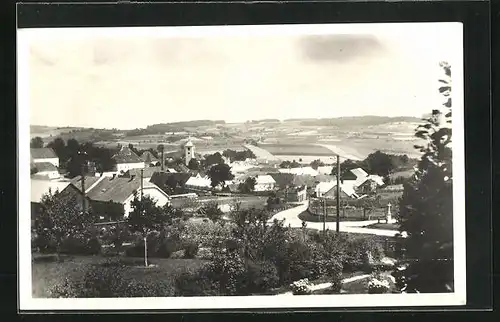 Foto-AK Neu-Reichenau / Nový Rychnov, Totalansicht der Ortschaft