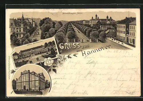 Lithographie Hannover, Palmenhaus, Schloss Herrenhausen, Herrenhauser Allee
