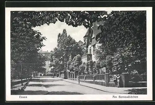 AK Essen, Strasse Am Bernewäldchen