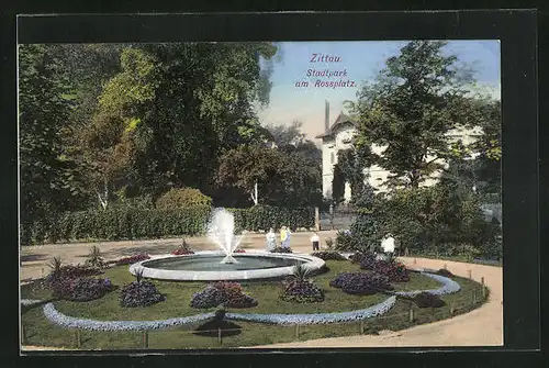 AK Zittau, Stadtpark am Rossplatz