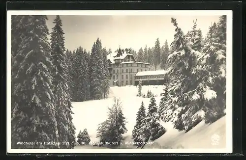 AK Todtnau, Waldhotel am Notschrei im Schnee