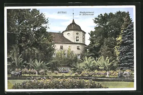 AK Zittau, Stadtgärtnerei mit Blumenuhr