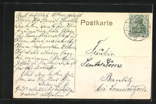 AK Zittau i. Sa., Parkpartie an der Stadtgärtnerei