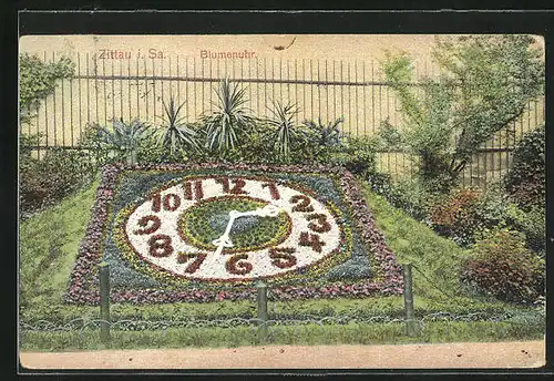 AK Zittau i. Sa., Blumenuhr