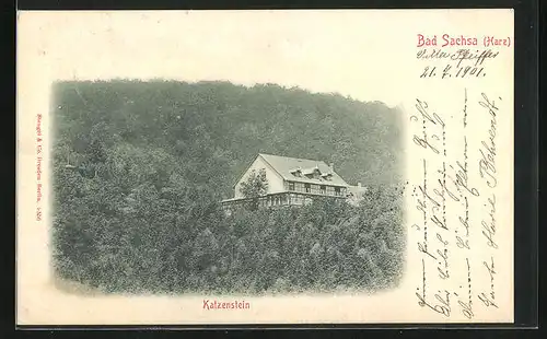 AK Bad Sachsa i. Harz, Gasthaus Katzenstein und Wald