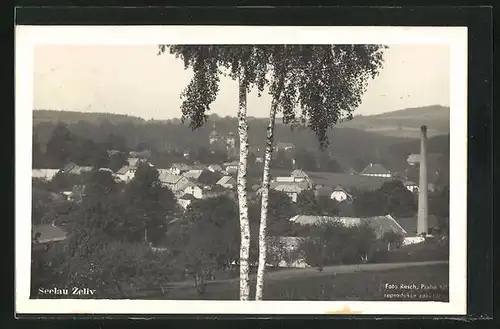 AK Seelau, Panorama