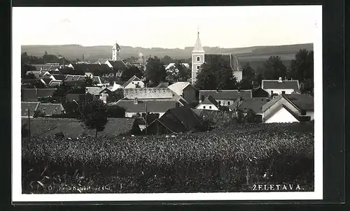 AK Zeletava, Panorama