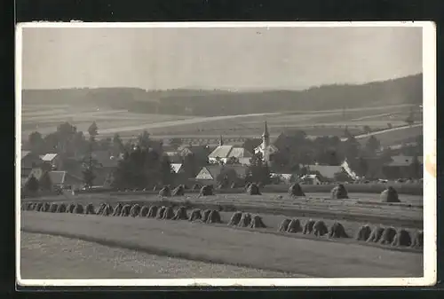 AK Ostrov nad Osl., Panorama