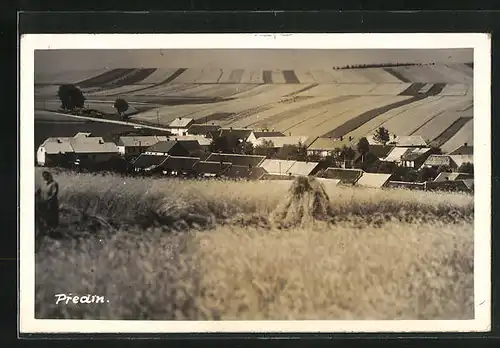 AK Predin, Blick vom Getreidefeld zum Ort