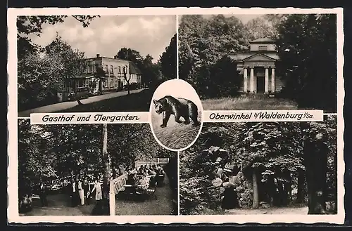 AK Oberwinkel b. Waldenburg, Gasthof und Tiergarten, Garten, Parkpartie