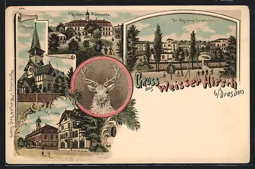 Lithographie Dresden-Weisser Hirsch, Dr. Lahmanns Sanatorium, Kirche, Kurhaus-Promenade