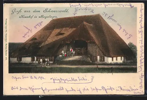 AK Bergalingen /Schwarzwald, Hozenhof