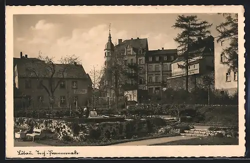 AK Löbau, Teichpromenade