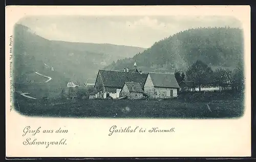 AK Gaisthal bei Herrenalb, Ortsansicht mit Blick ins Land