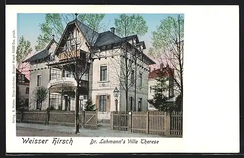 AK Dresden-Weisser Hirsch, Dr Lahmann`s Villa Therese