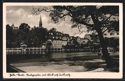 AK Halle /Saale, Saalepartie mit Blick auf Kröllwitz